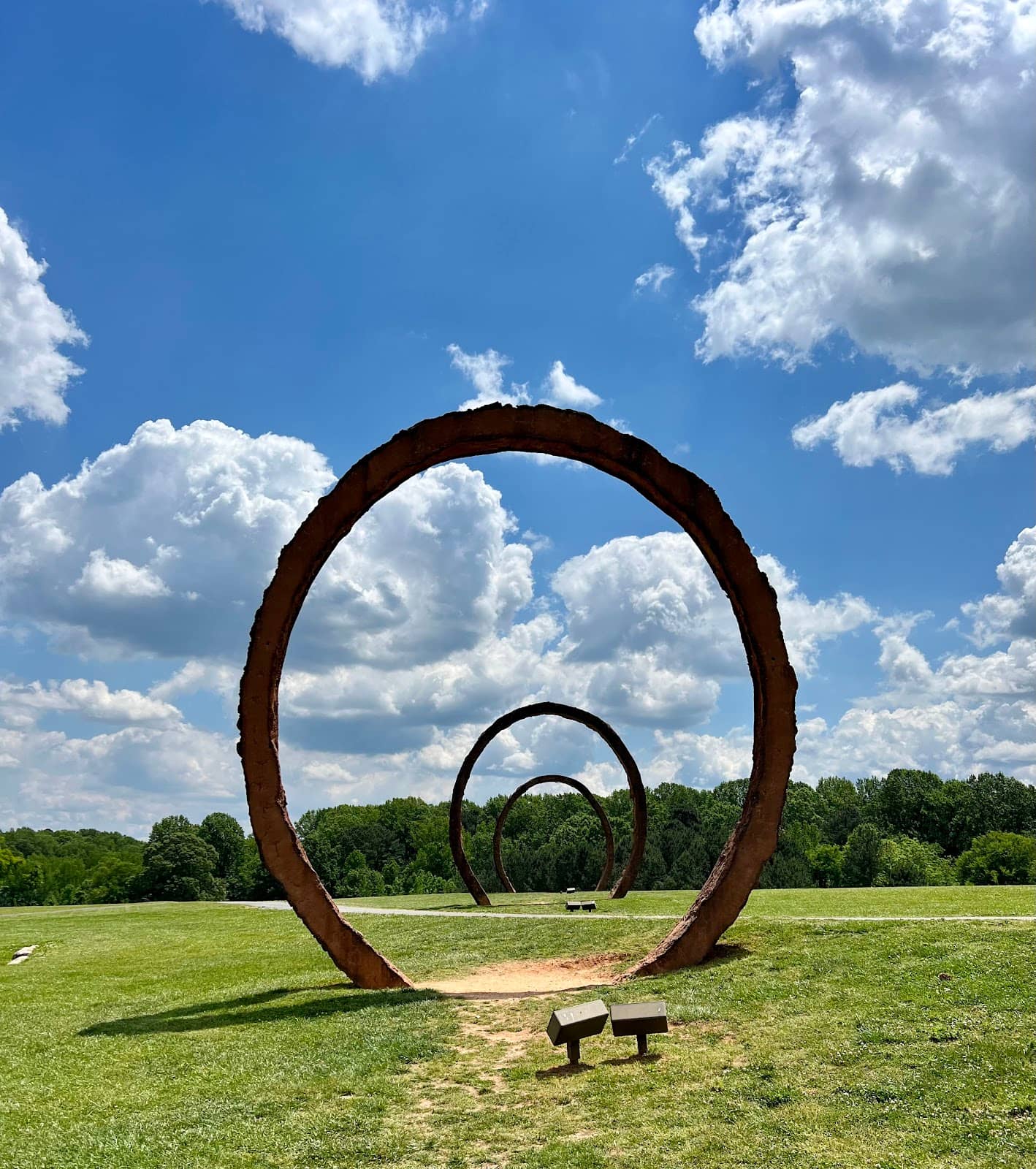 Cloud Chamber of the Trees and Sky