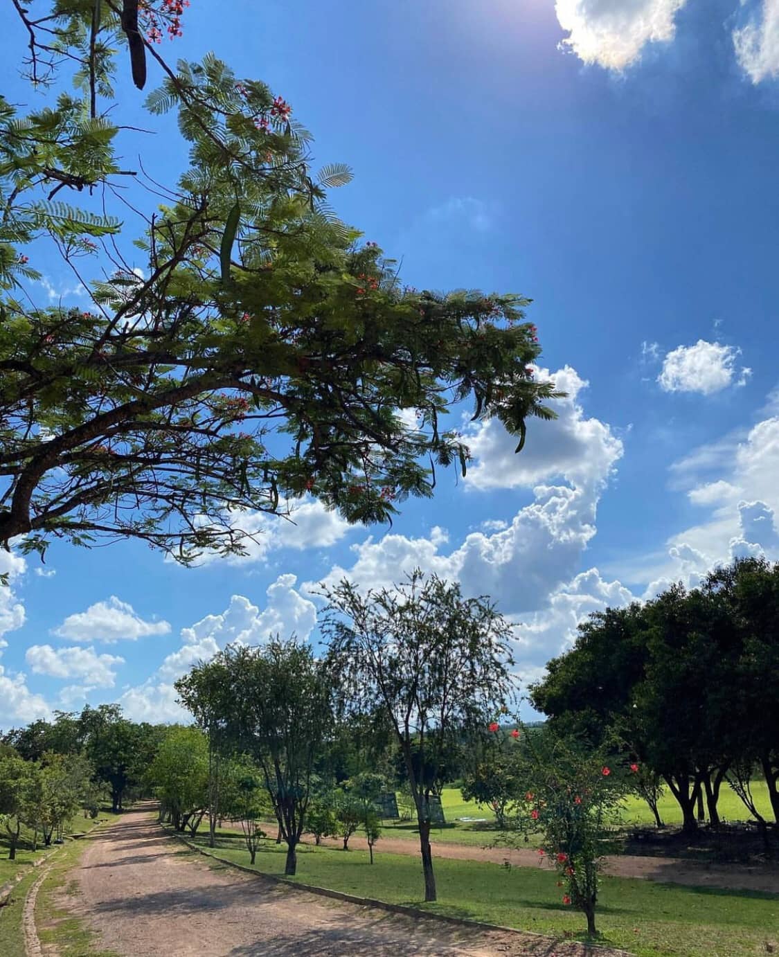 Walking and Jogging Trails