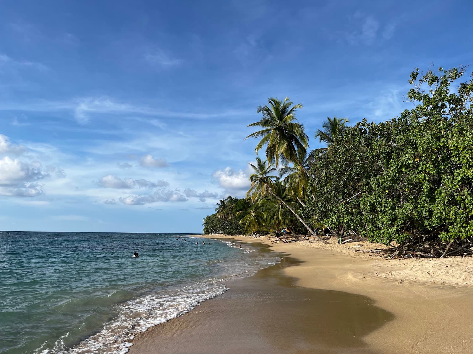 Punta Uva Beach Costa Rica - Image 1