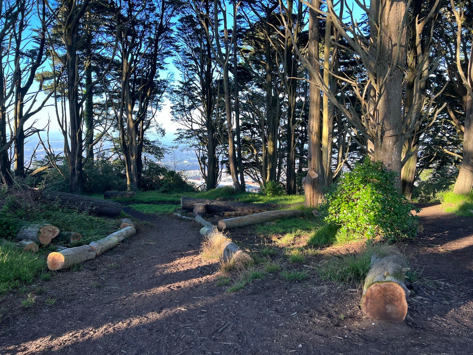 Golden Peak - Image 1