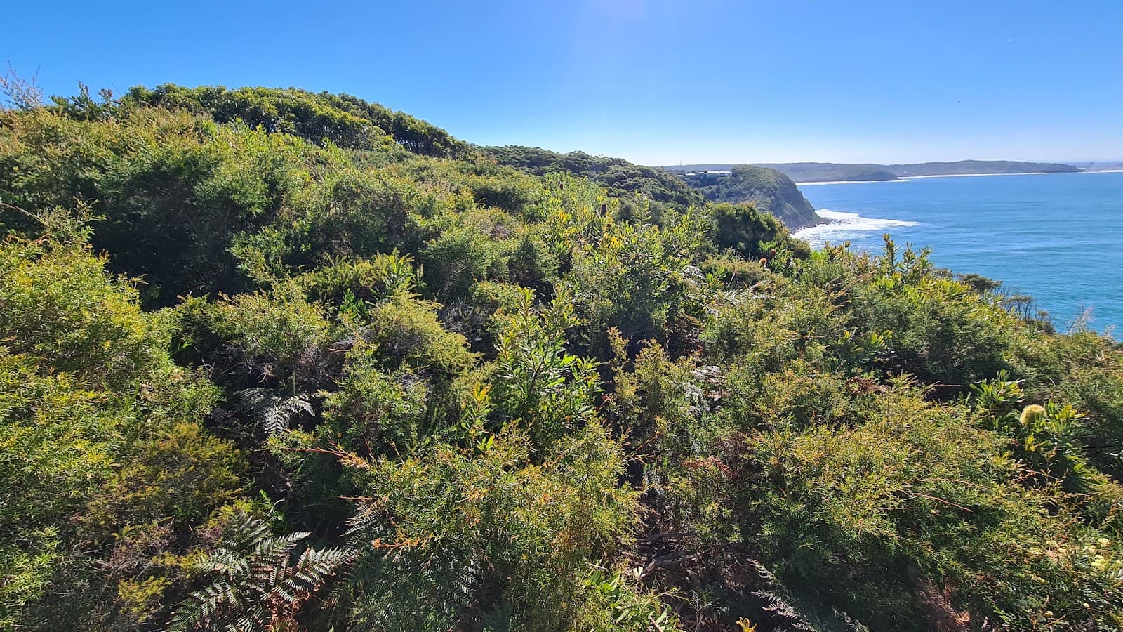 Awabakal Nature Reserve - Image 1