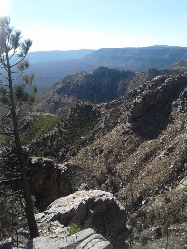 Hiking Trails