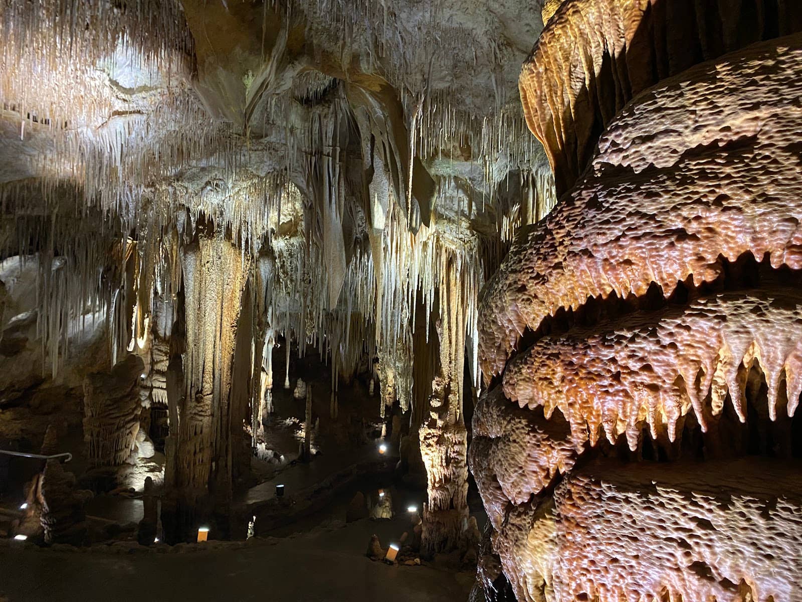 Fascinating Discovery History