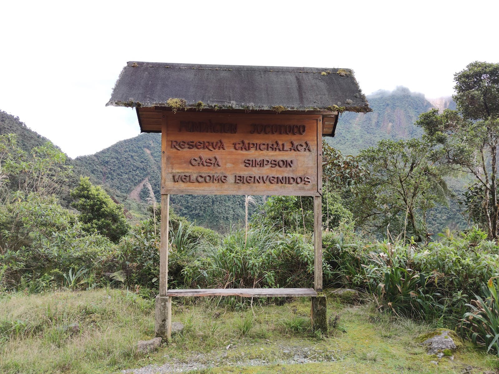 Reserva Tapichalaca (Jocotoco) - Image 1