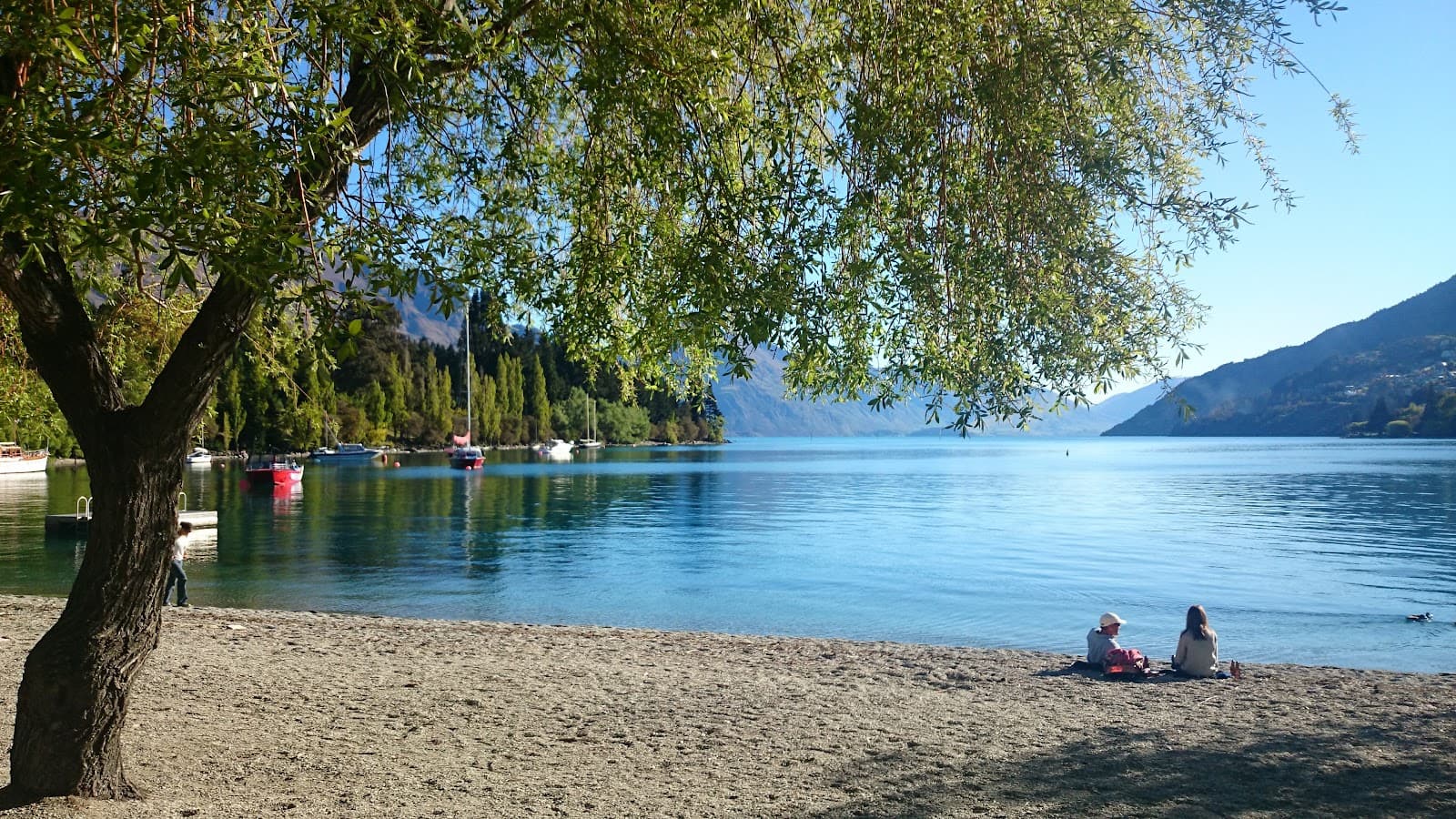 Marine Parade and Queenstown Beach - Image 1