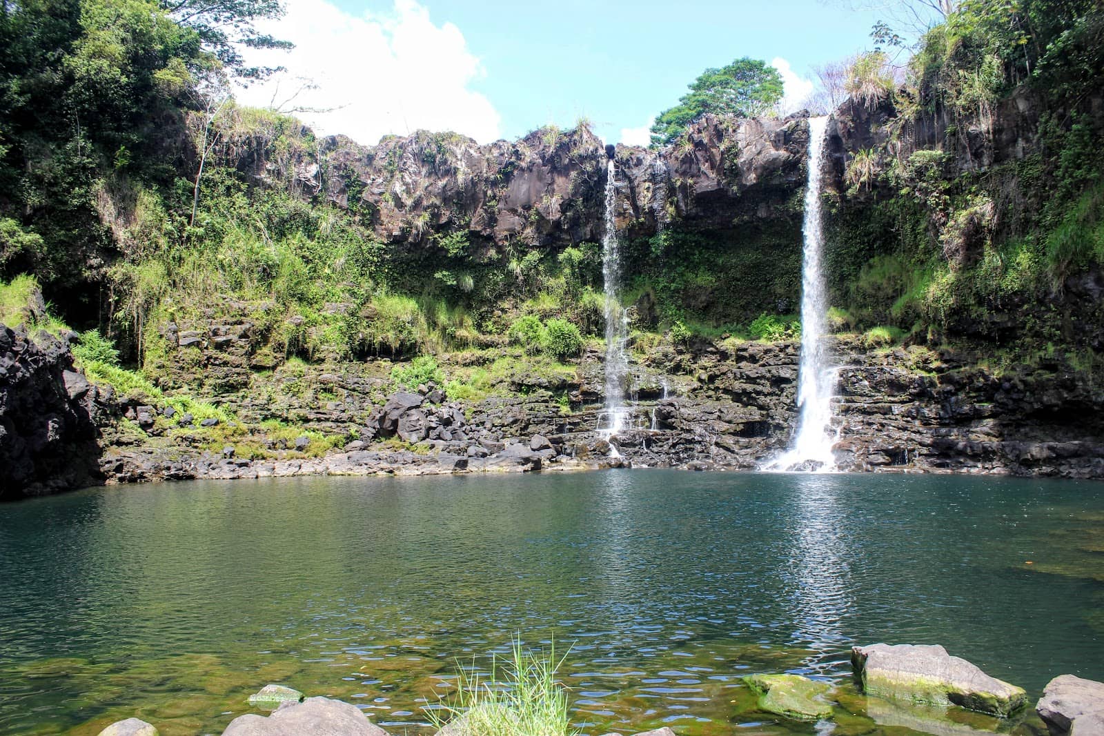 Lush Surroundings