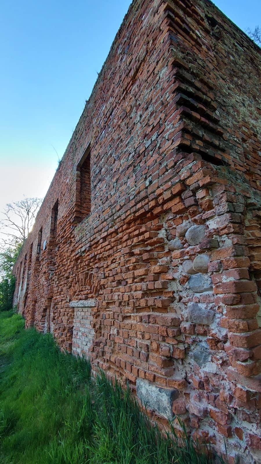 Vertical photo