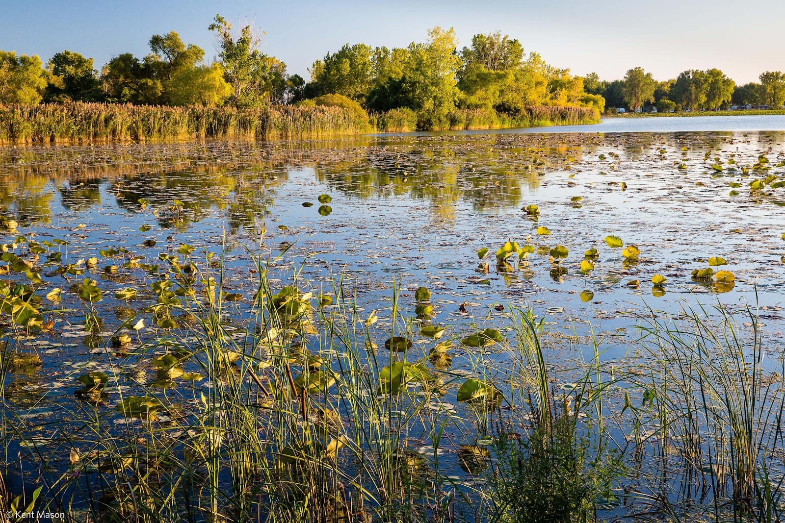 Great Egret Marsh Preserve - Image 1