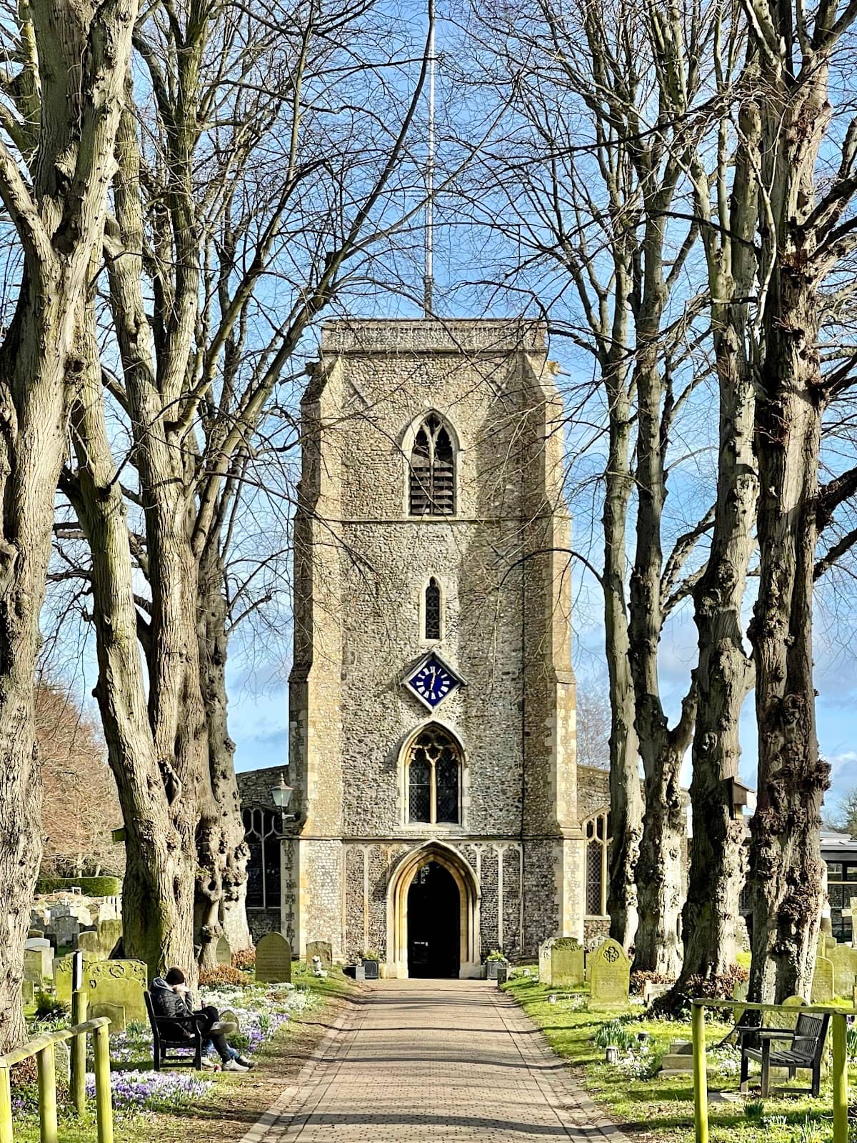 Vertical photo