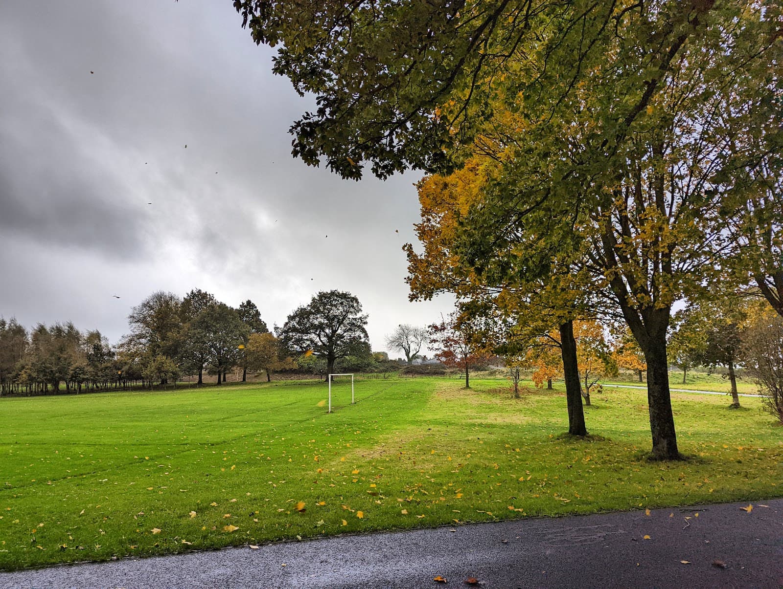 Ryelands Park - Image 1