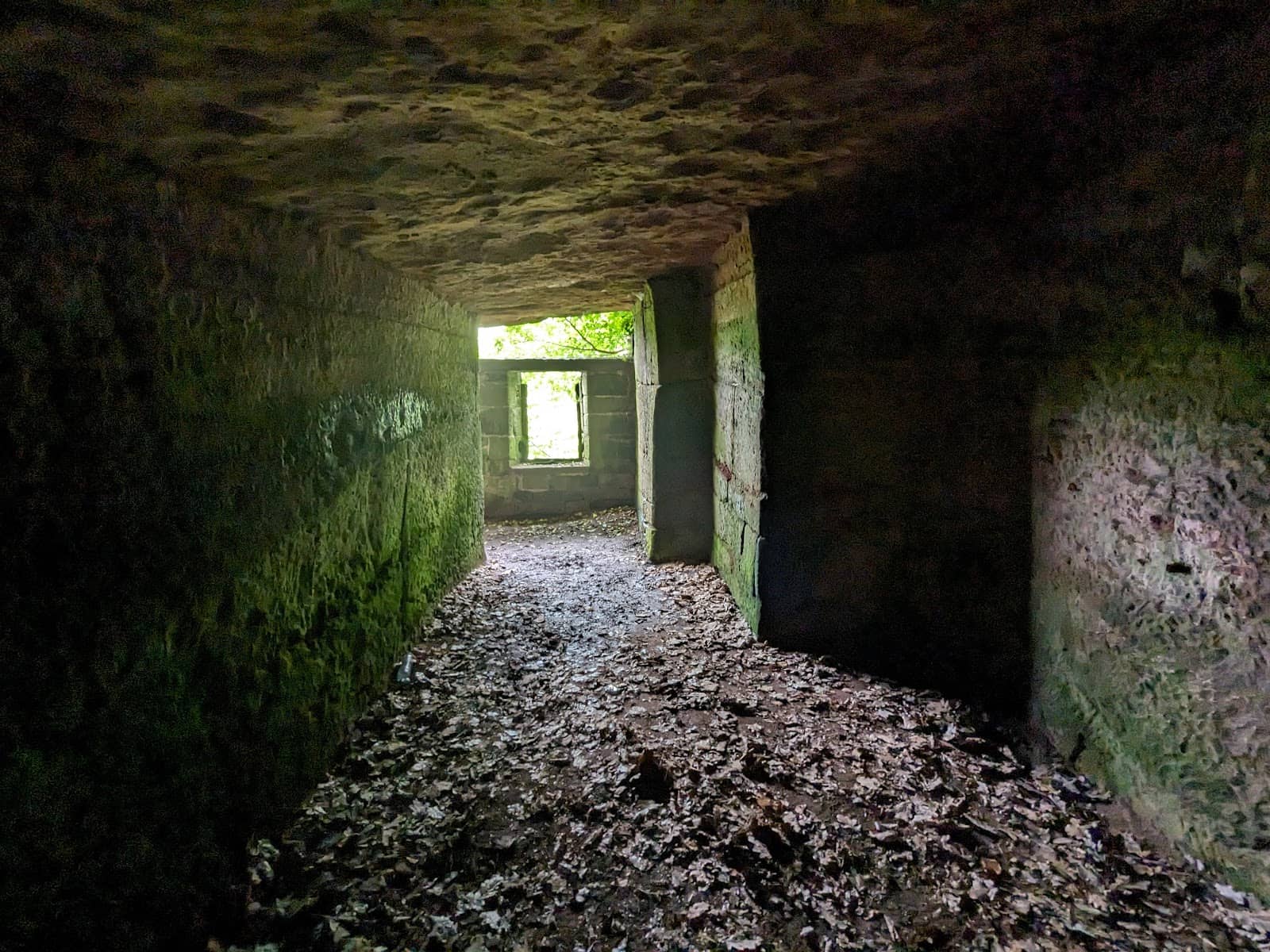 Vertical photo