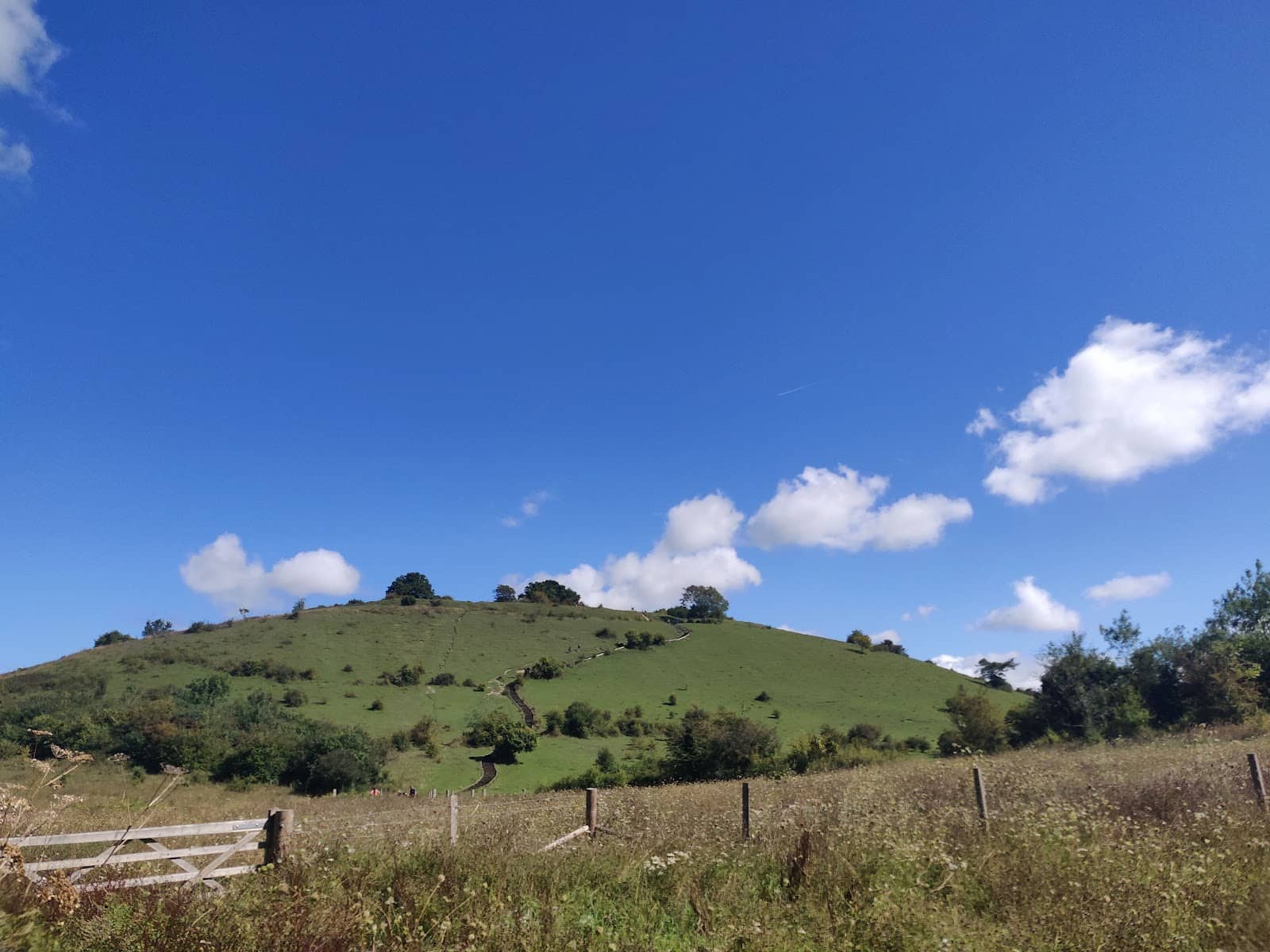 Iron Age Settlement Ruins