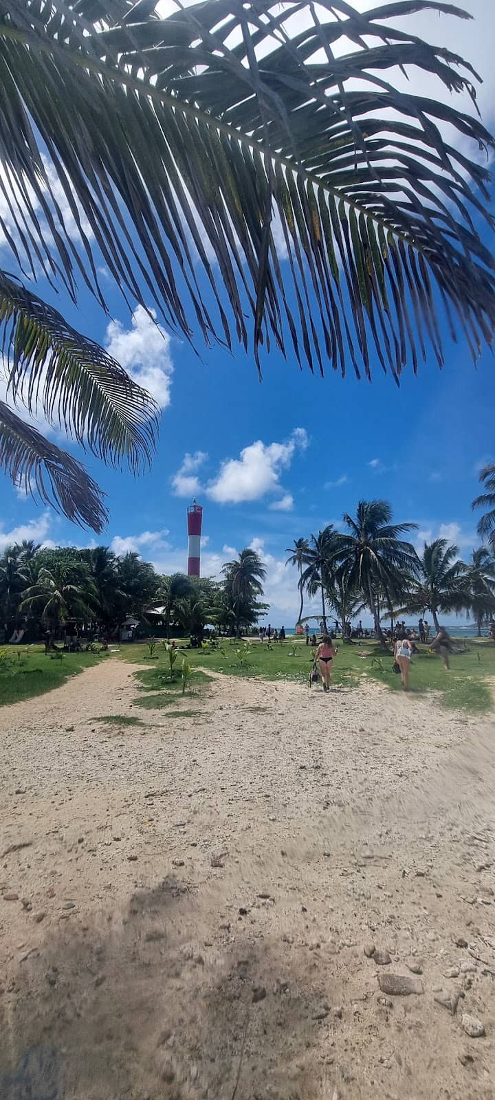 Vertical photo