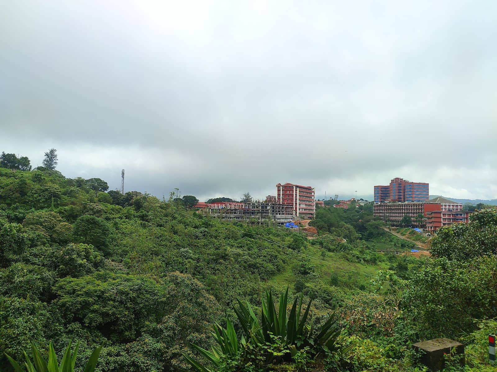 Kuttikkanam's Misty Hills