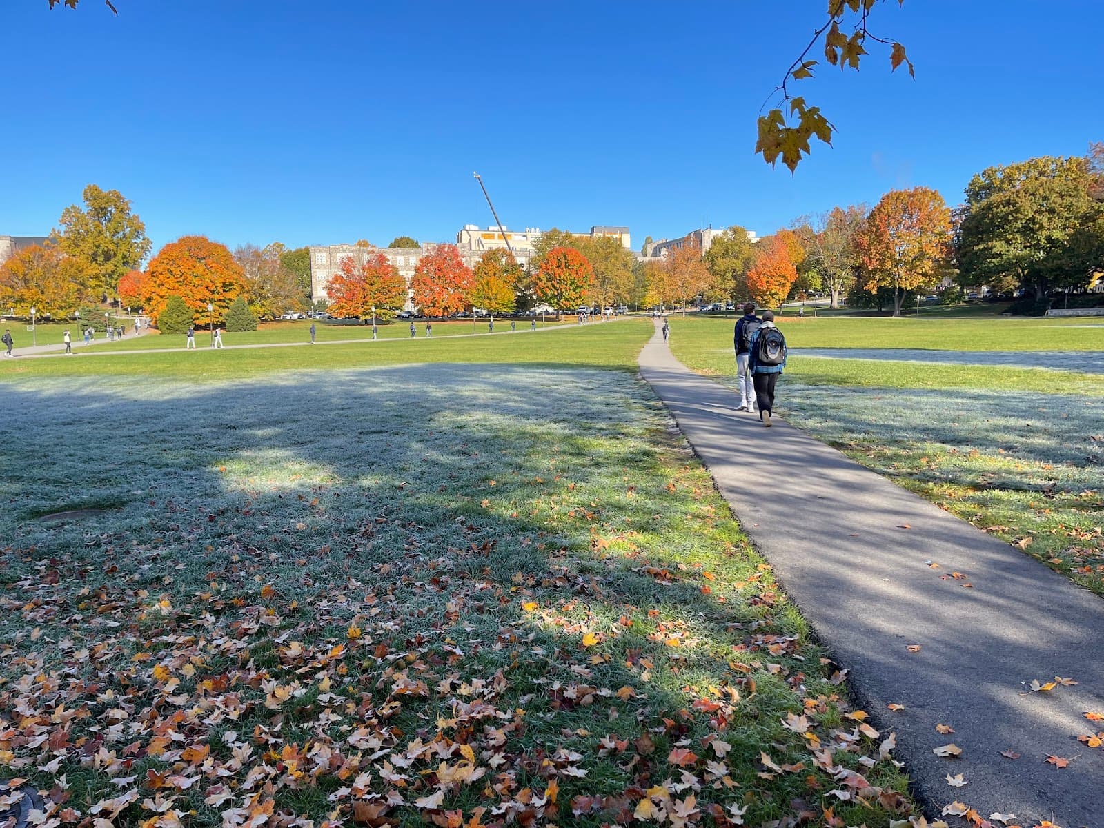 The Drillfield - Image 1