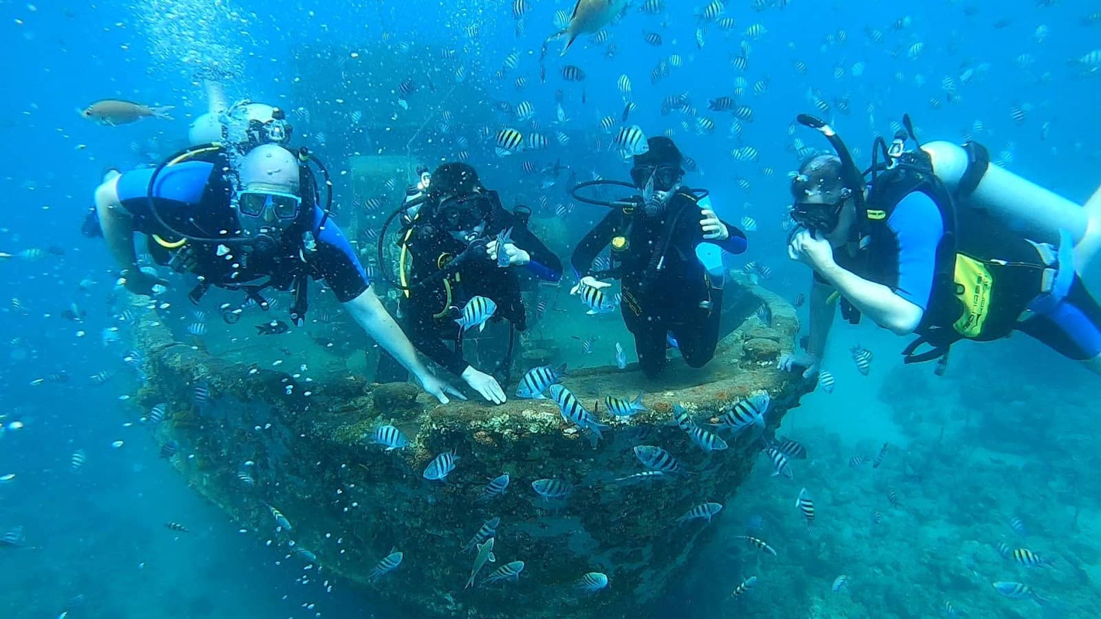 Abundant Fish Schools