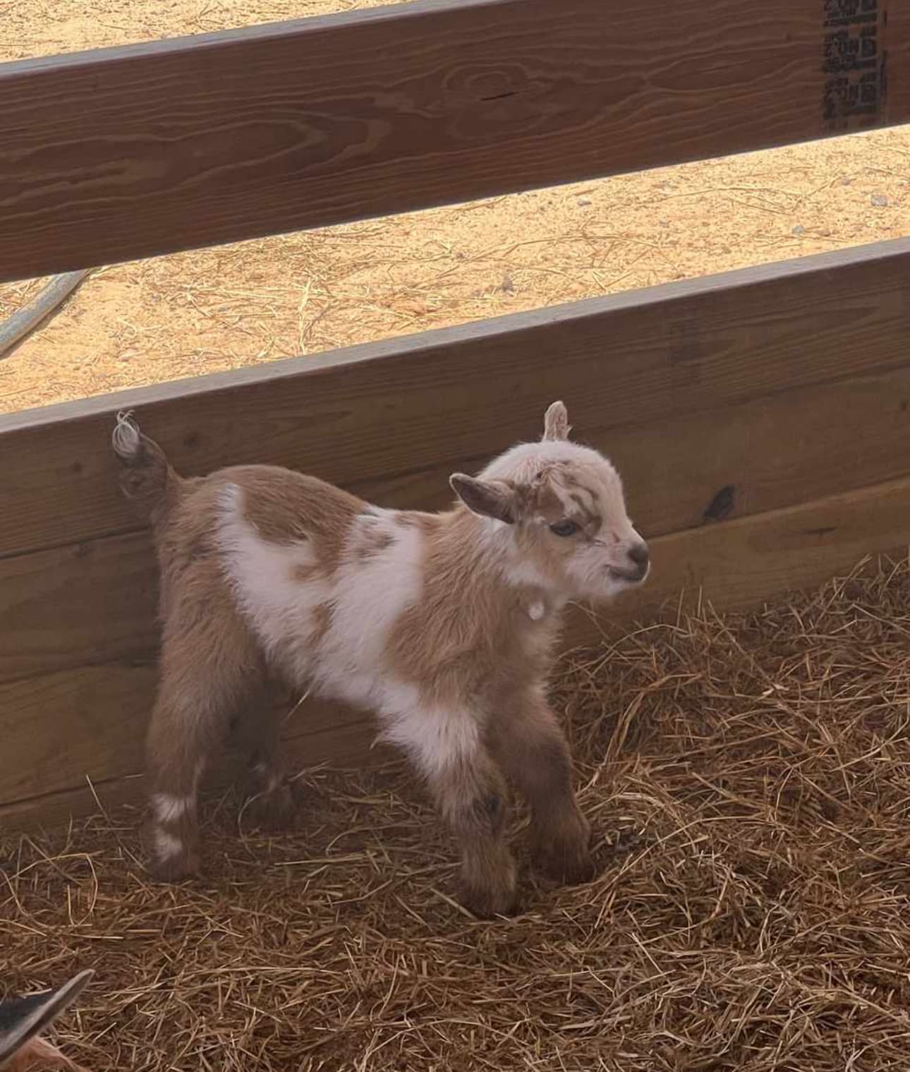 Bla Bla Ranch - Image 1