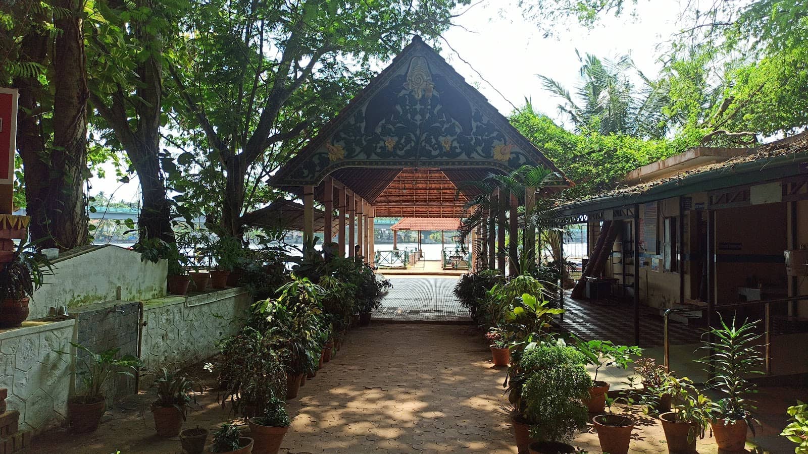 Mangrove Trees & Sculptures
