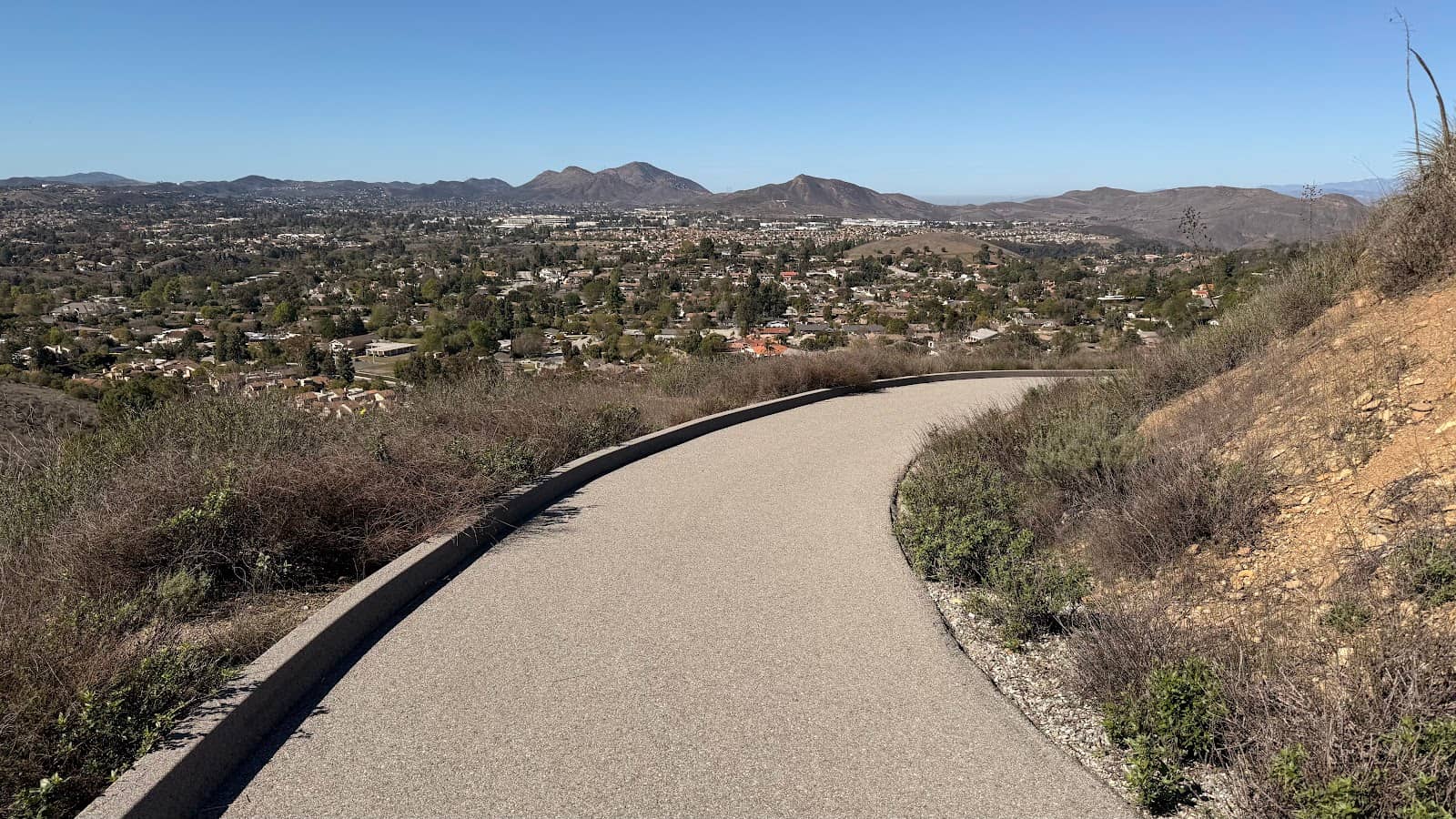 Tarantula Hill Brewing Co.