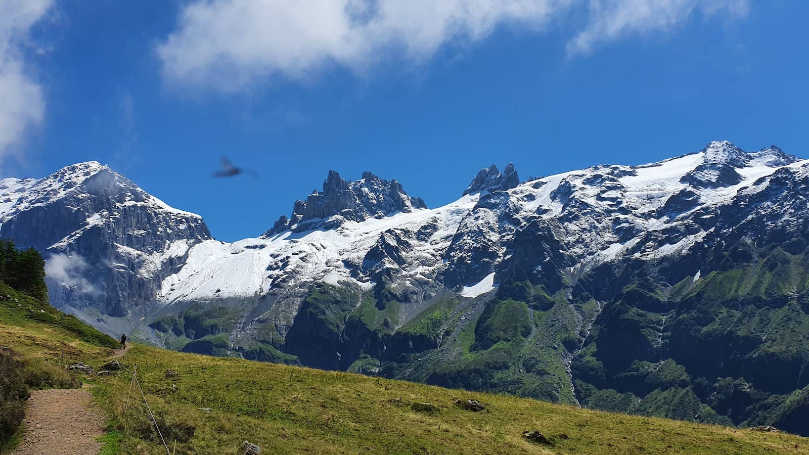 Alpine Playground