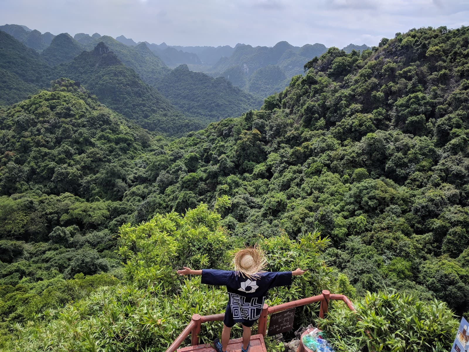 Ngu Lam Peak, Cat Ba National Park - Image 1