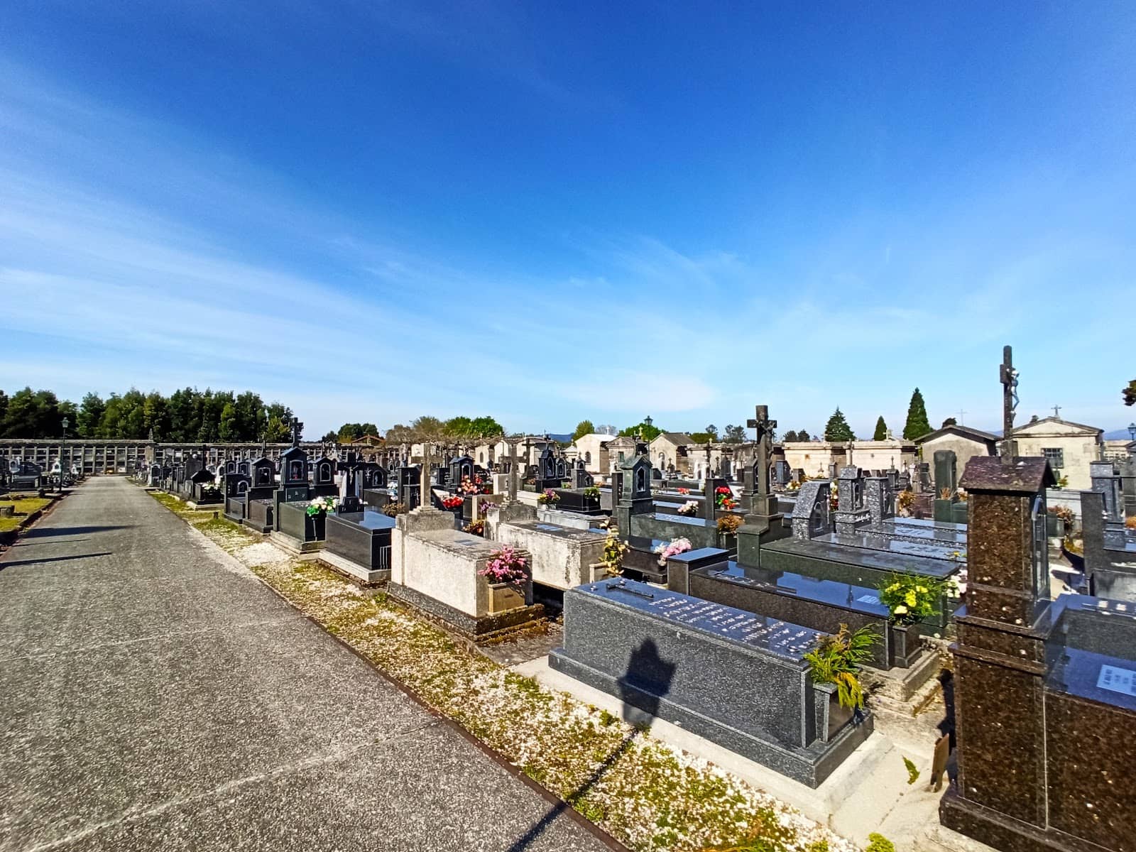 Attentive and Respectful Staff