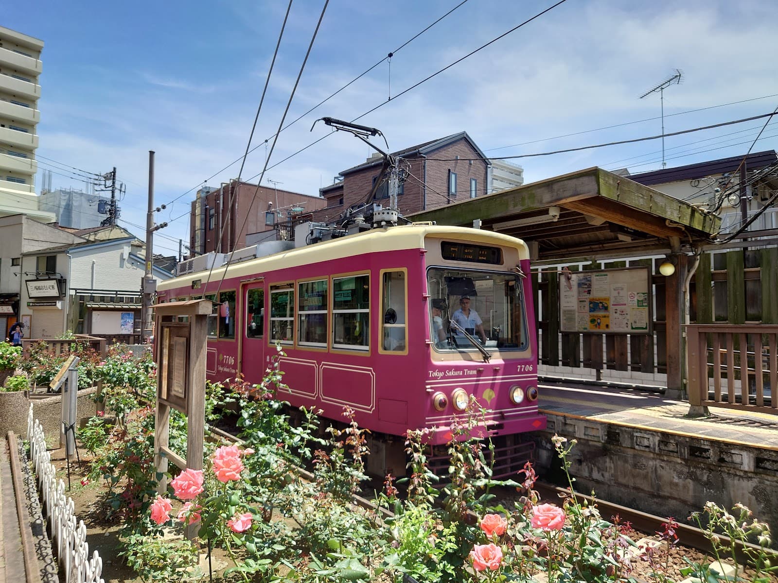 Tokyo Sakura Tram (Toden Arakawa Line) - Image 1
