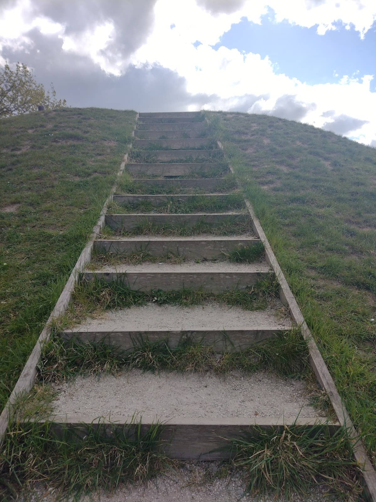 Vertical photo