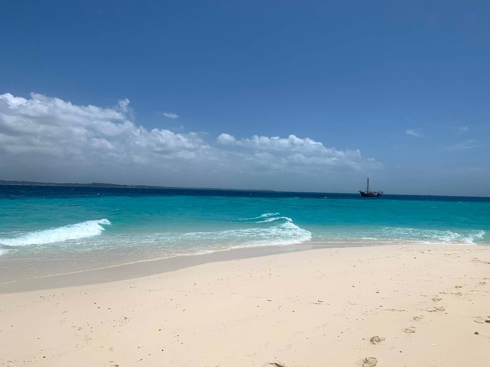 Seafood Lunch on the Sand