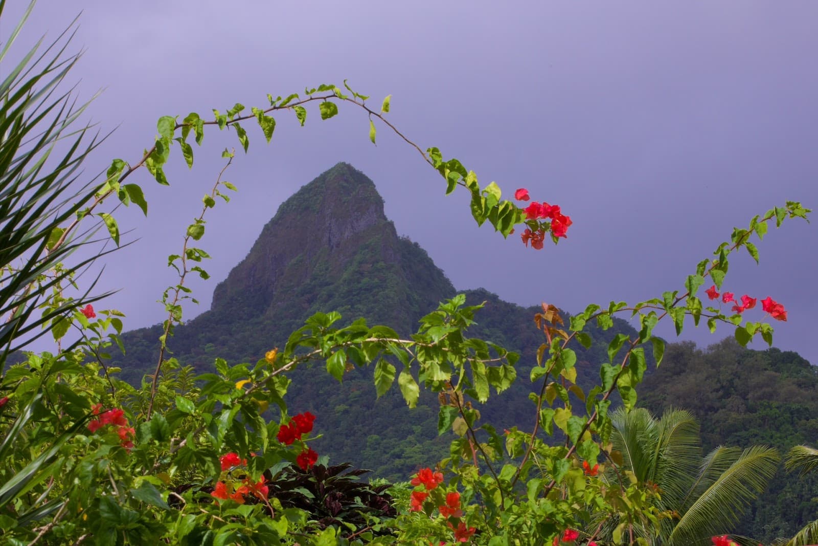 Mount Ikurangi - Image 1