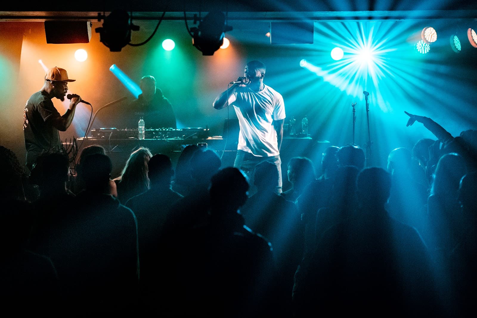 The Lemon Tree - Image 1