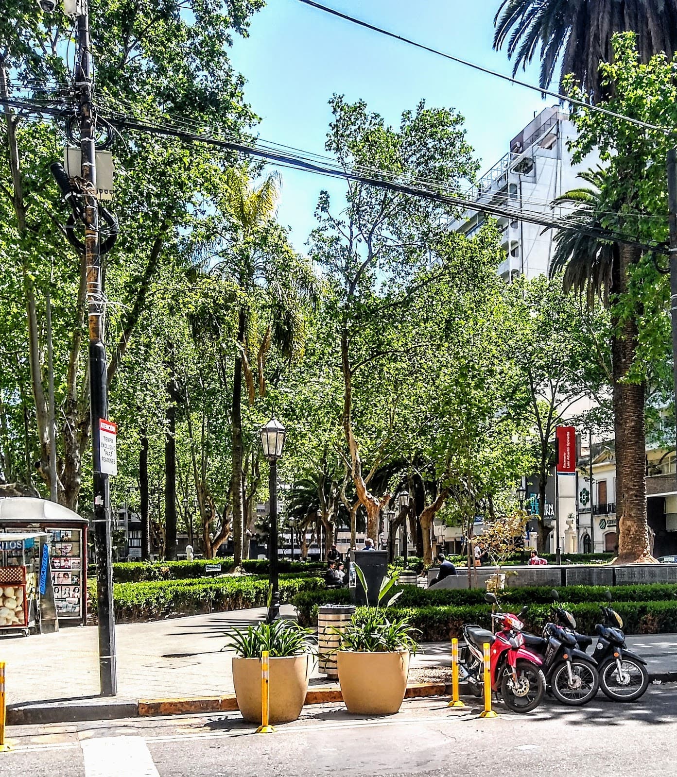 Plaza Pringles - Image 1