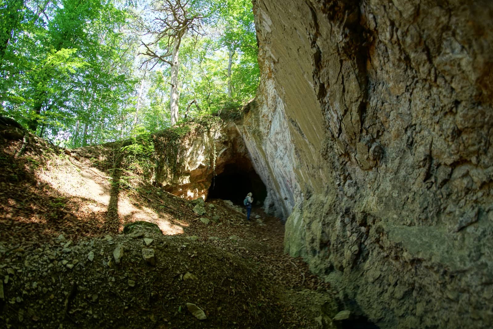 Vertical photo