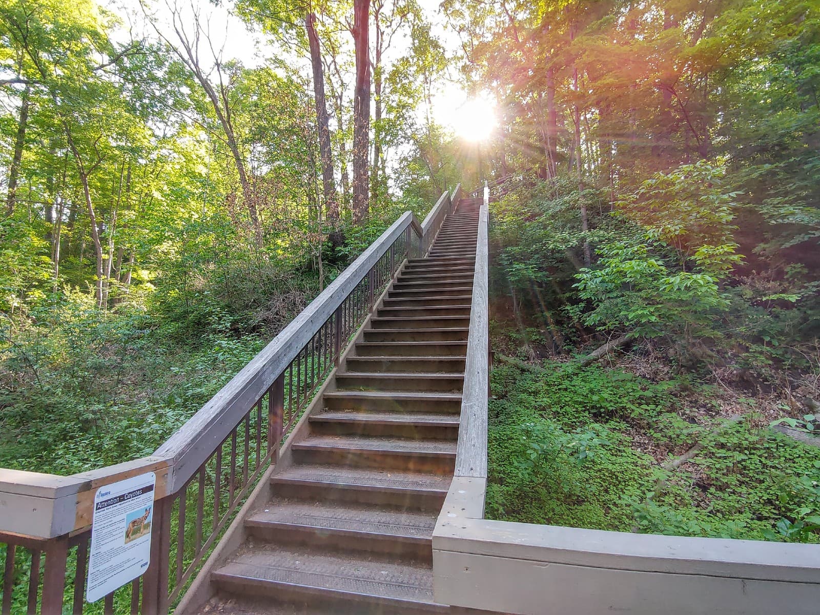 Glen Stewart Ravine - Image 1