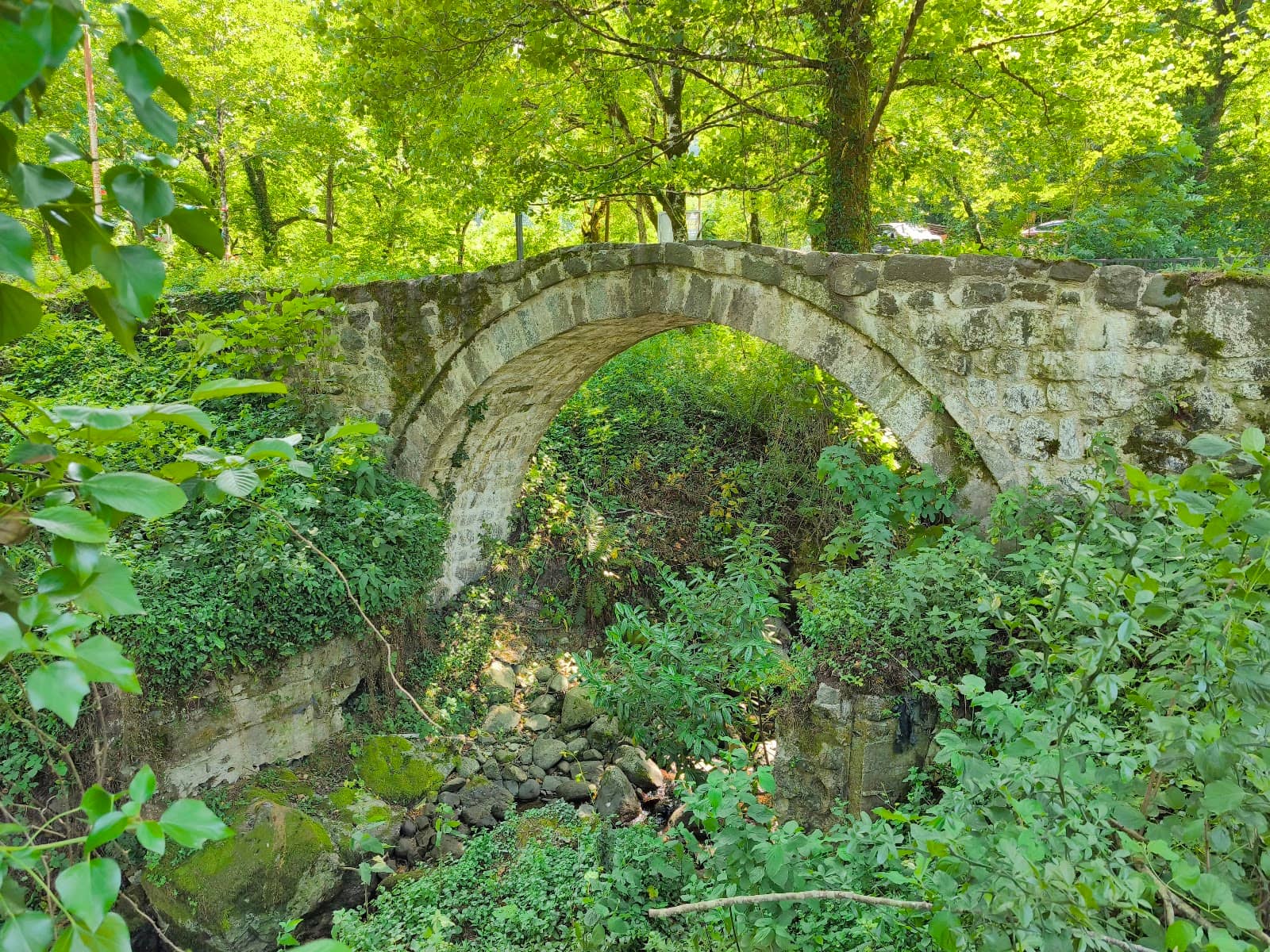 River Confluence & Local Delights