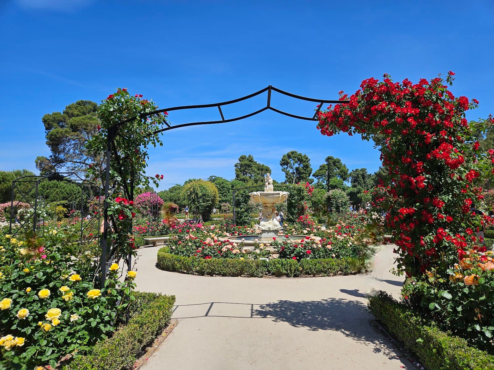 La Rosaleda de El Retiro - Image 1