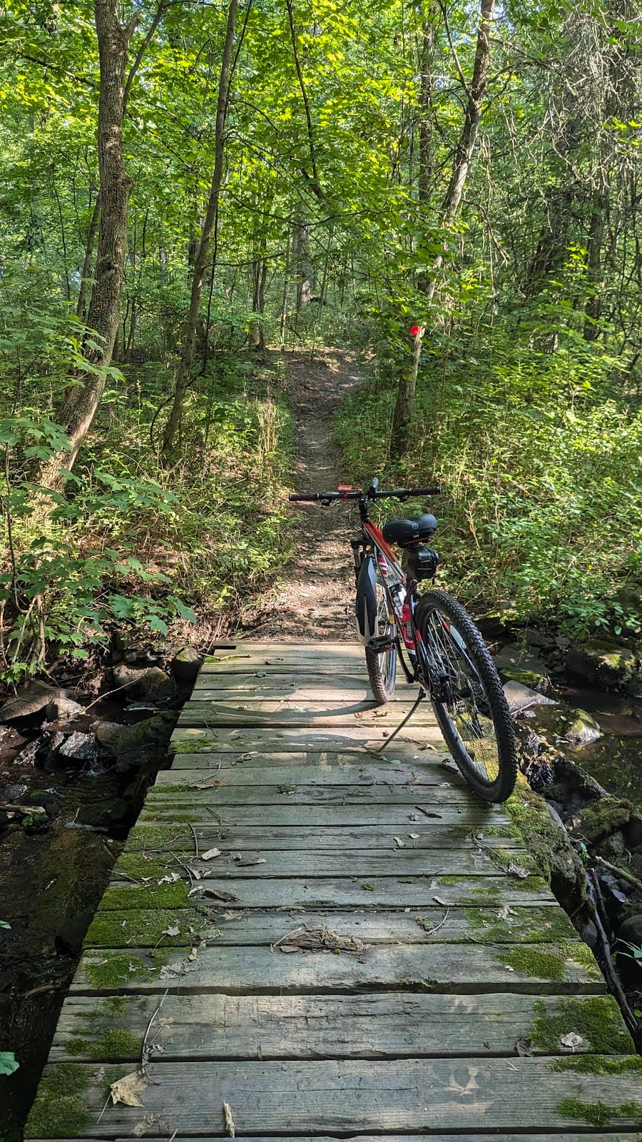 Stewart State Forest - Image 1