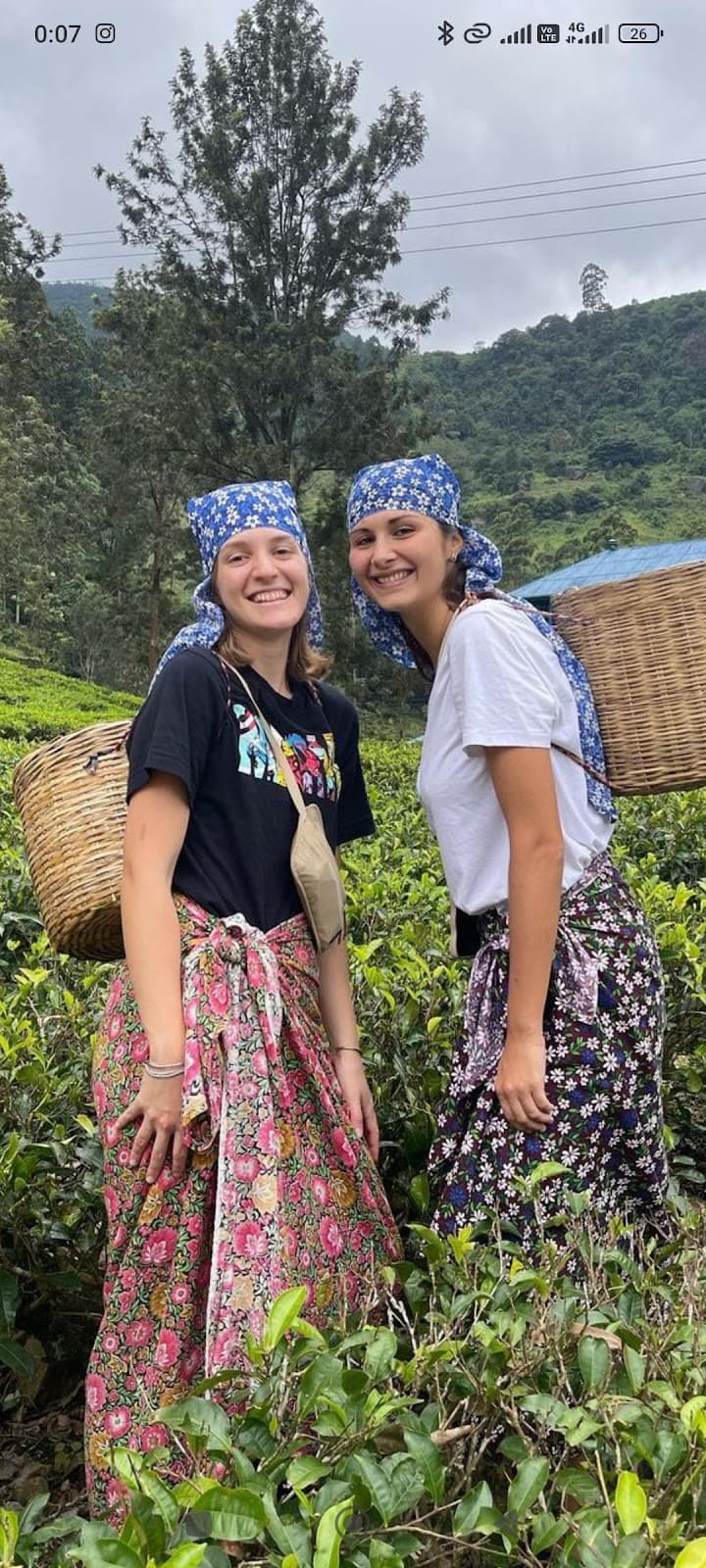 Shanthipura Tea Estate Nuwara Eliya - Image 1