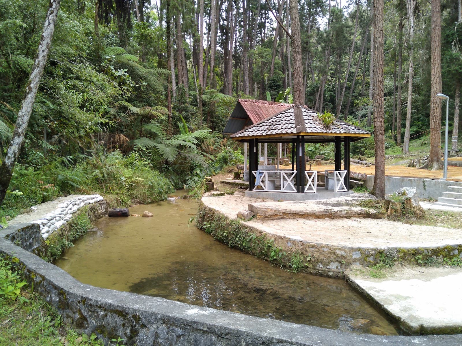 Sungai Pauh Campsite & Picnic Area - Image 1