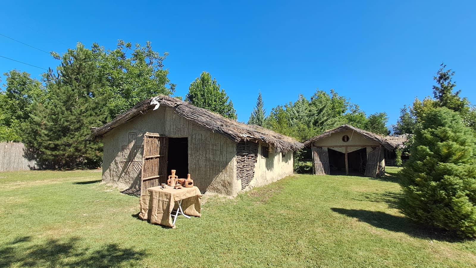 Knowledgeable Caretaker