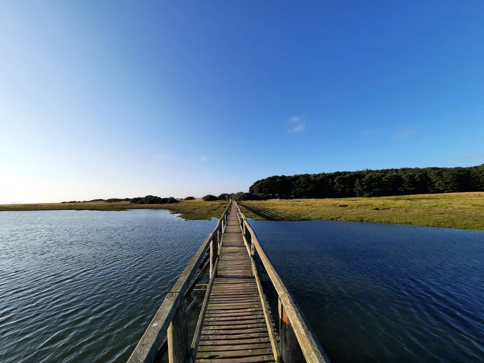 Dune and Marshland Trails