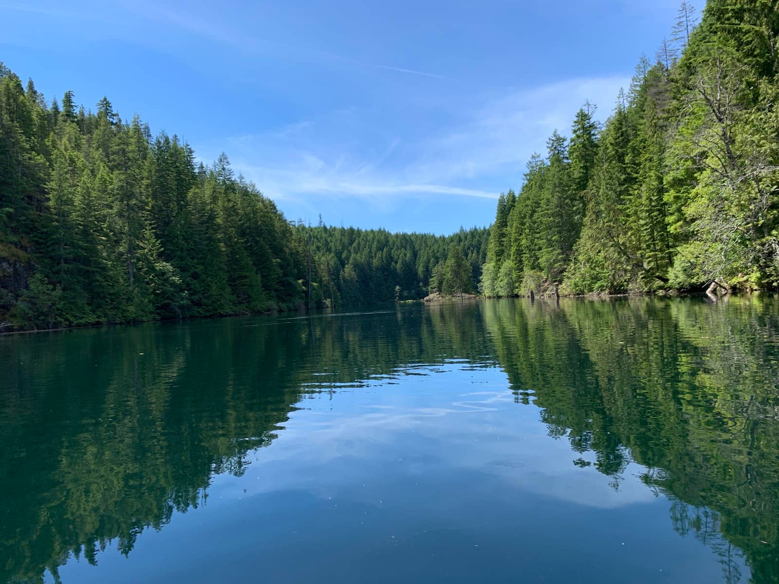 Hiking and Mushroom Picking