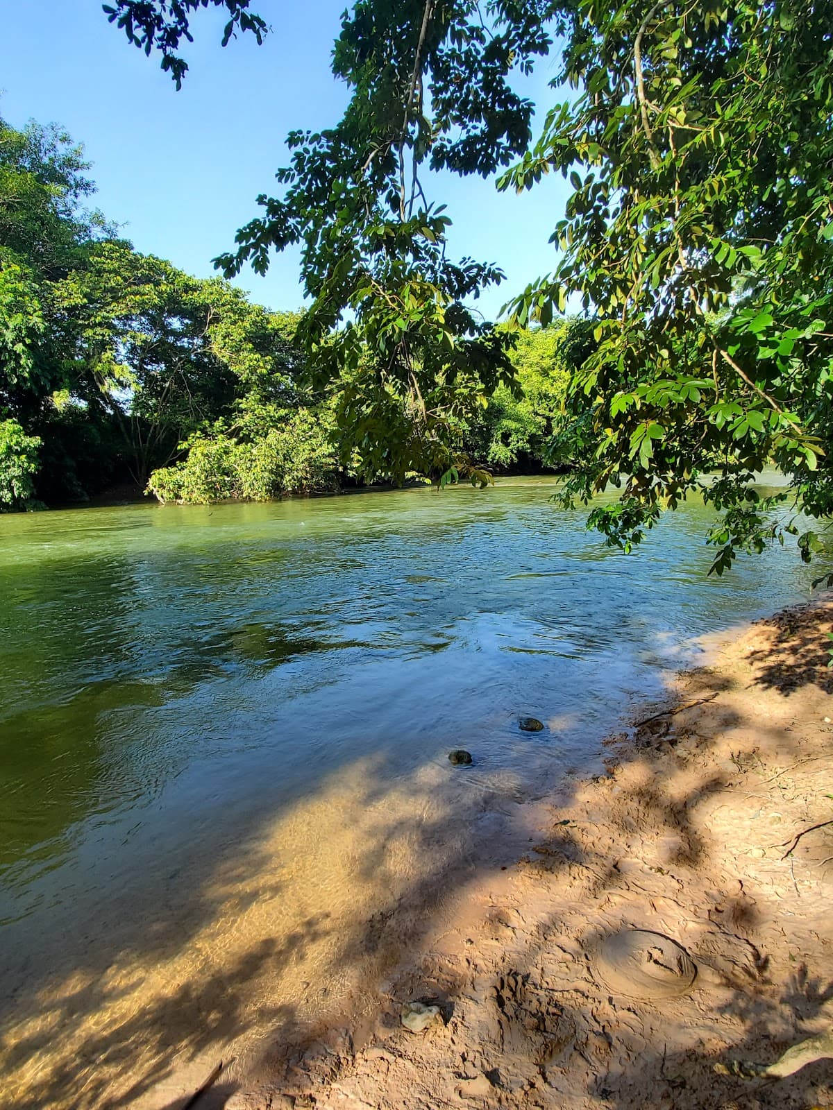 Bullet Tree Falls Belize - Image 1