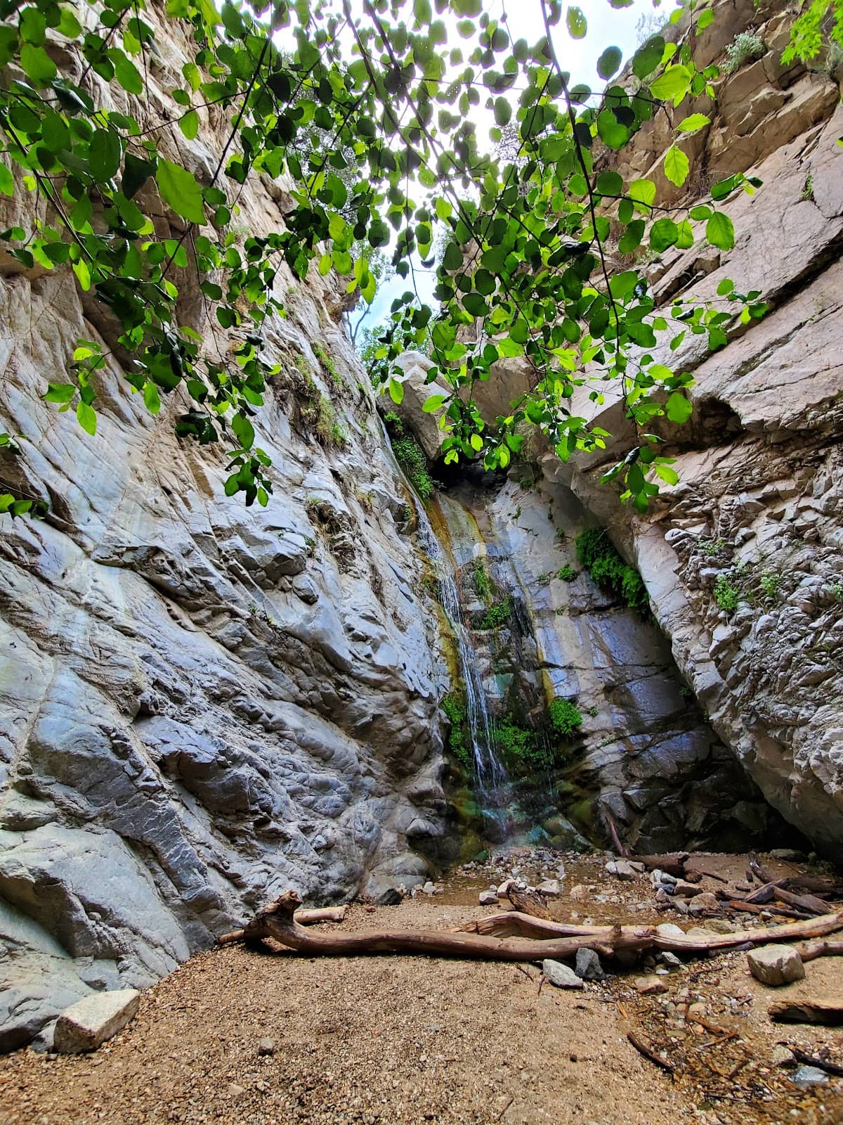 Lush Canyon Scenery
