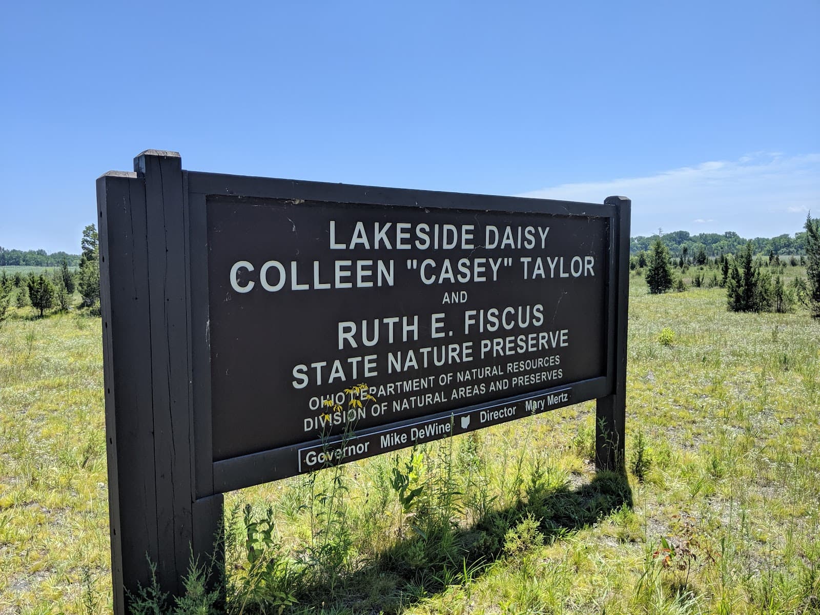 Lakeside Daisy State Nature Preserve - Image 1