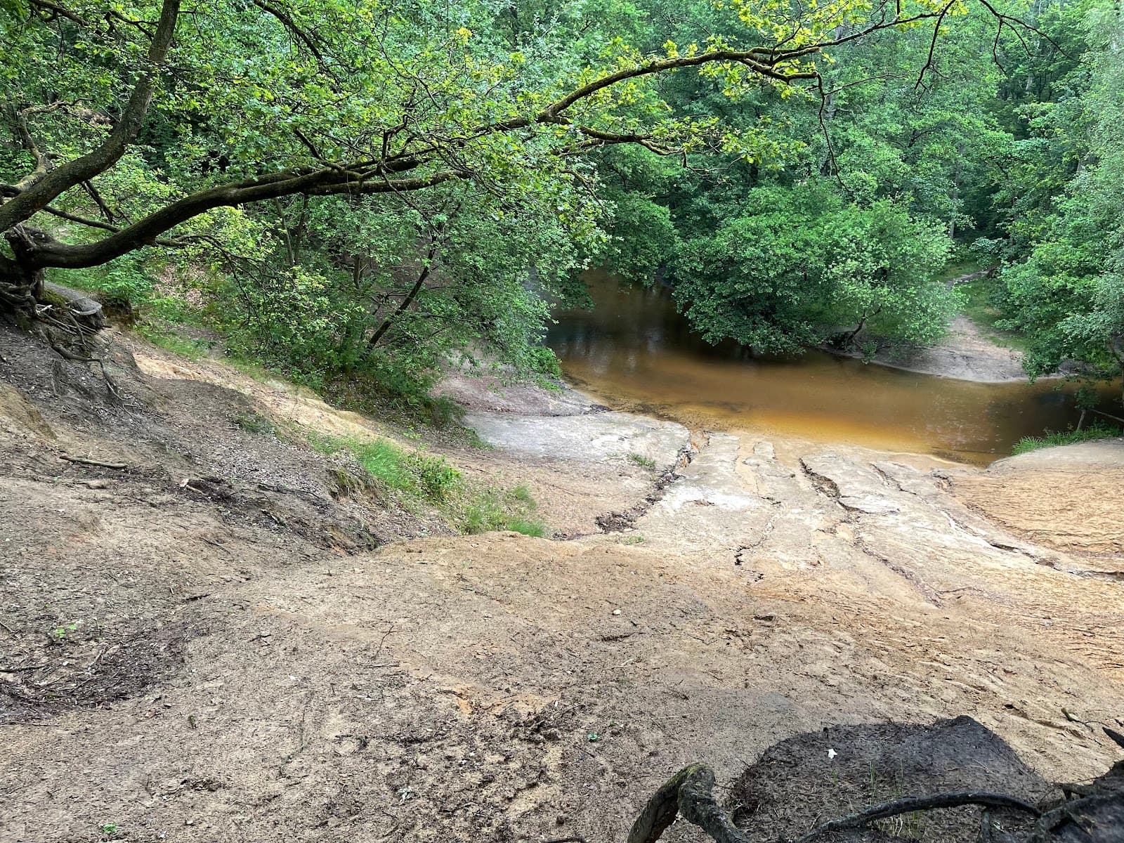 Leudal Nature Reserve - Image 1