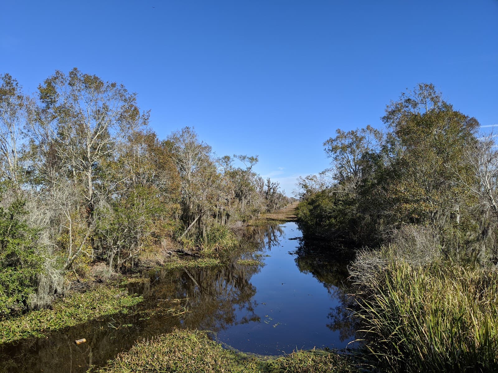 Jean Lafitte National Historical Park - Image 1