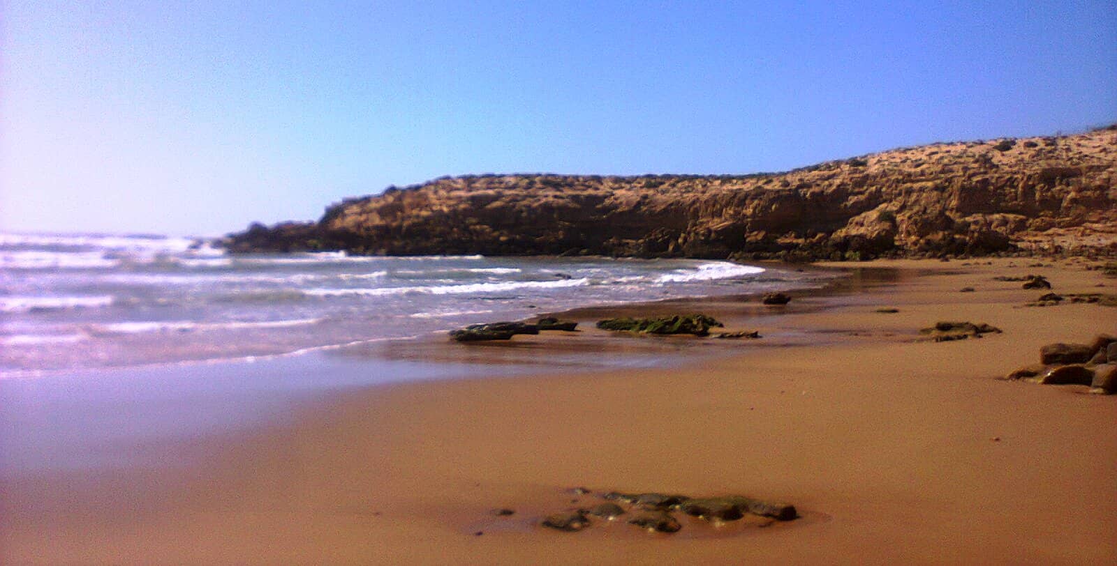 Vertical photo