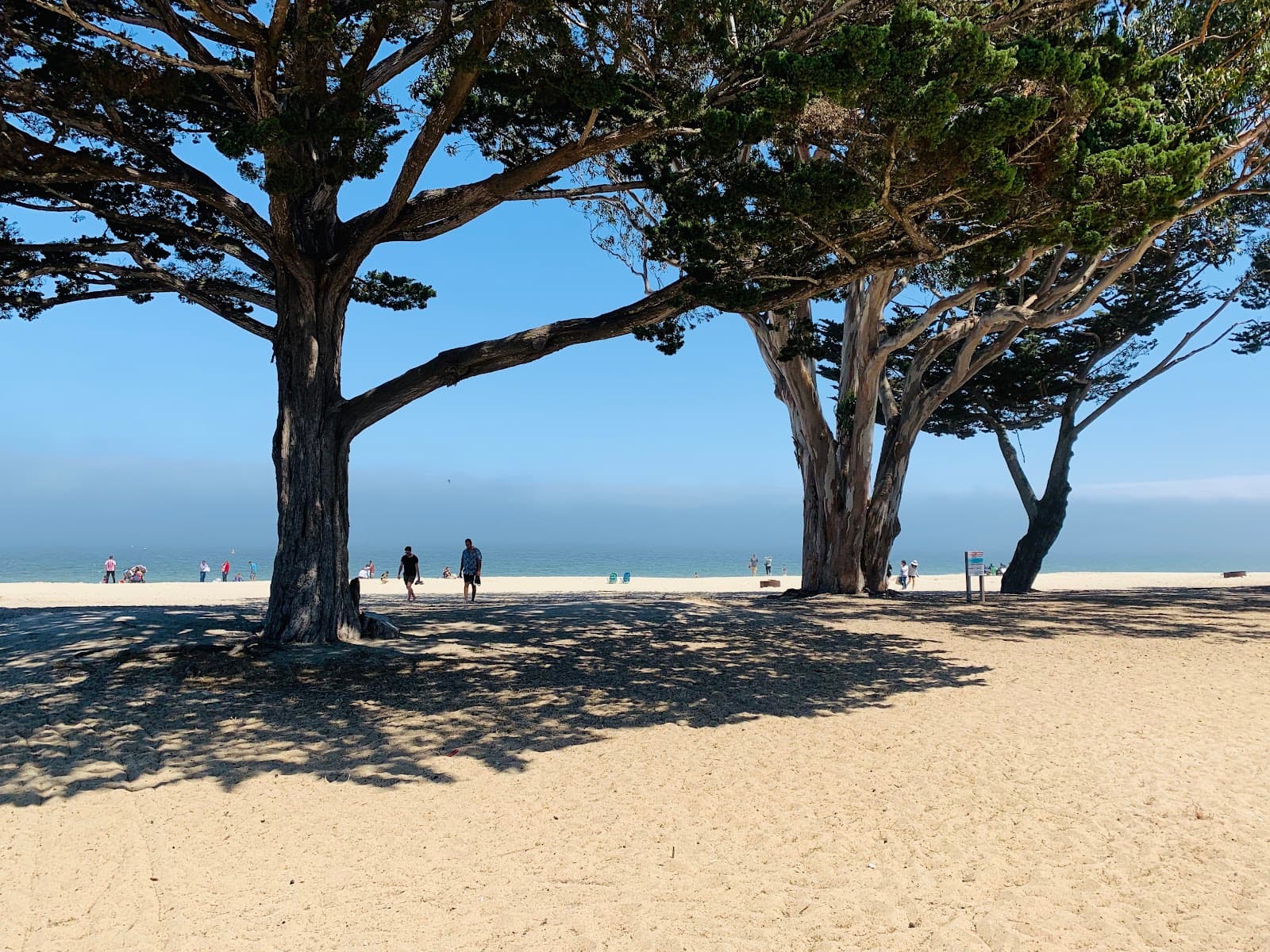 Window on the Bay Park - Image 1
