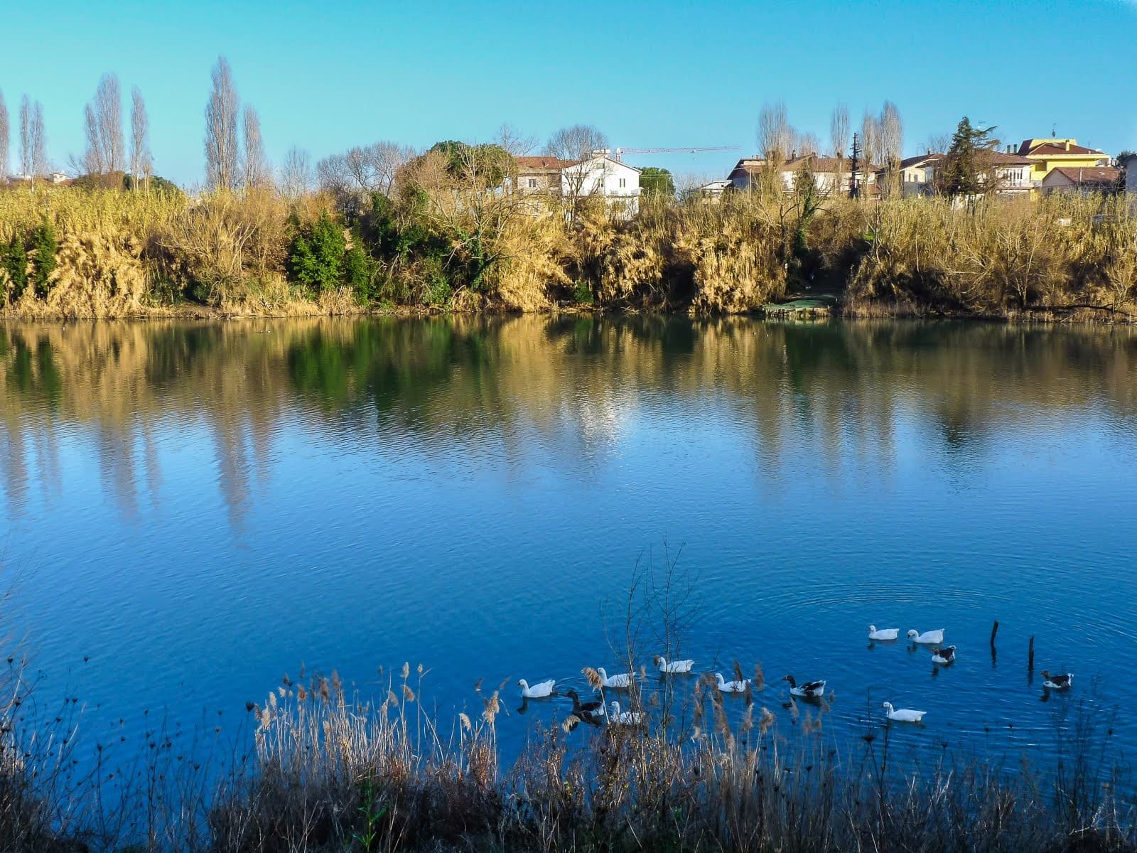 Parco Giovanni Paolo II Rimini - Image 1